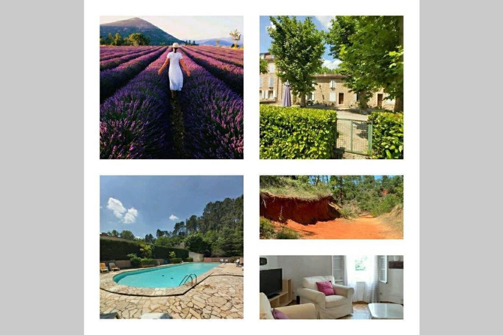Eblouissant Appartement Au Calme D'Une Residence Avec Piscine Idealement Situe Au Pied Du Colorado Provencal Dans Le Prestigieux Luberon Rustrel Exterior foto